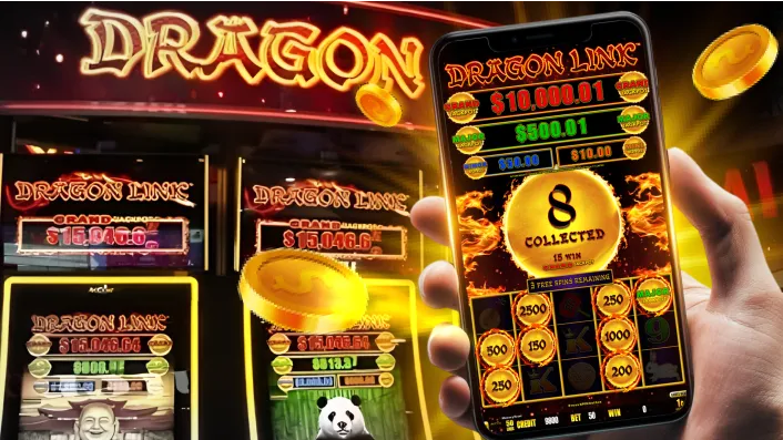 Live Dealer Roulette Game